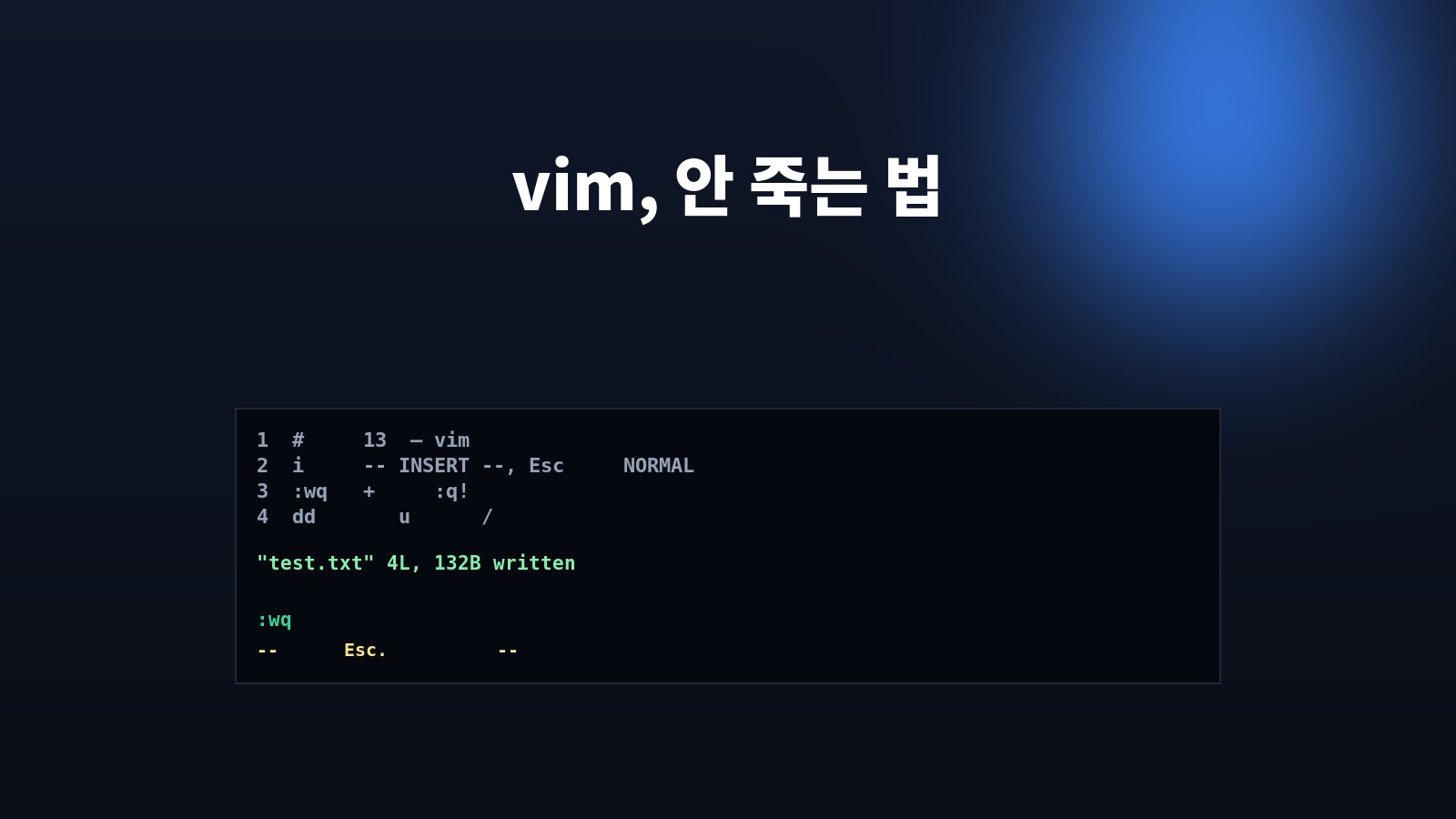 터미널에 vim 편집기가 열려 NORMAL·INSERT 모드 표시가 보이는 화면 — vim 사용법 기초를 상징하는 일러스트