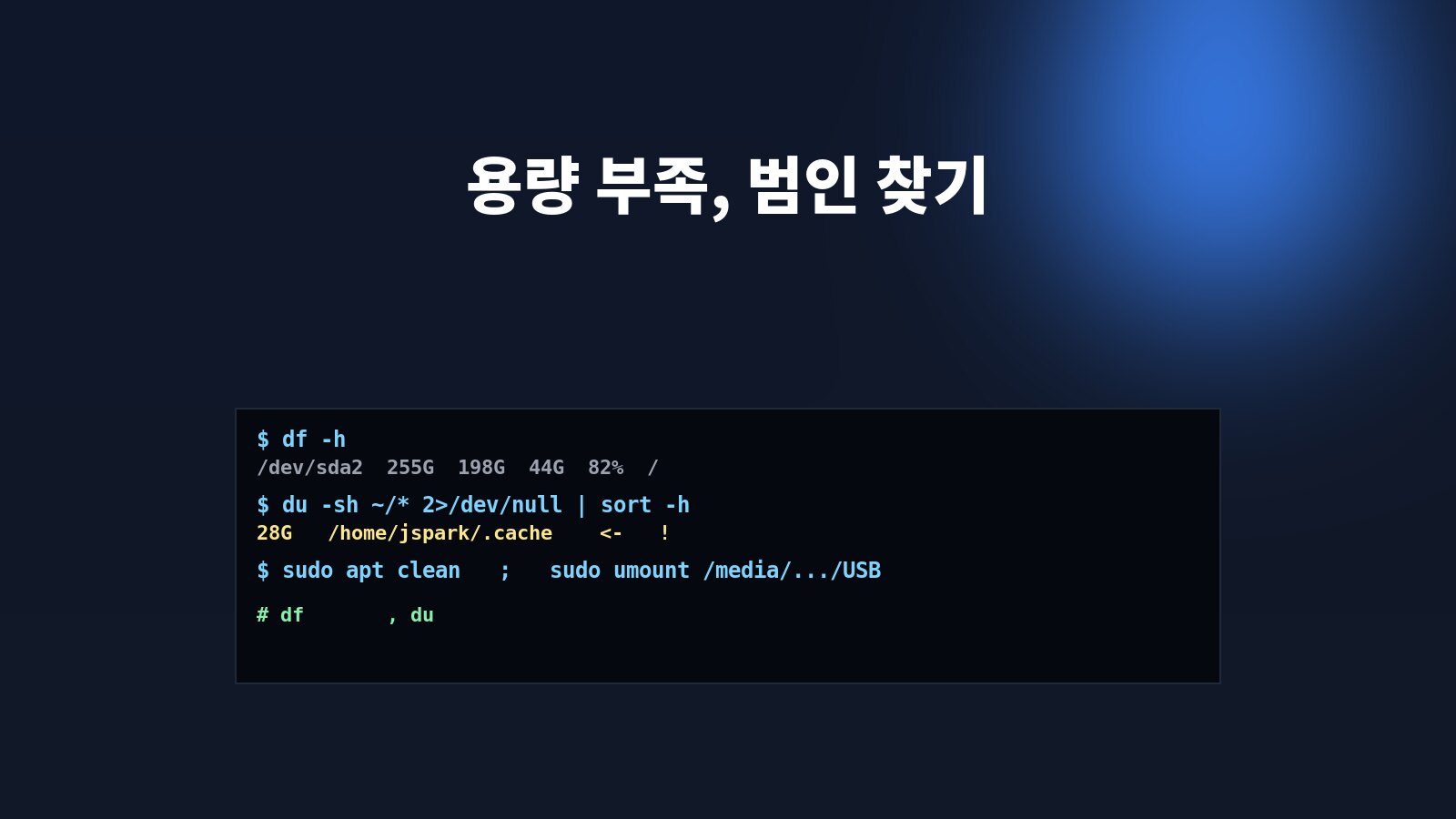 터미널에 df·du·lsblk 명령으로 디스크 사용량을 보는 화면 — 리눅스 디스크 관리를 상징하는 일러스트