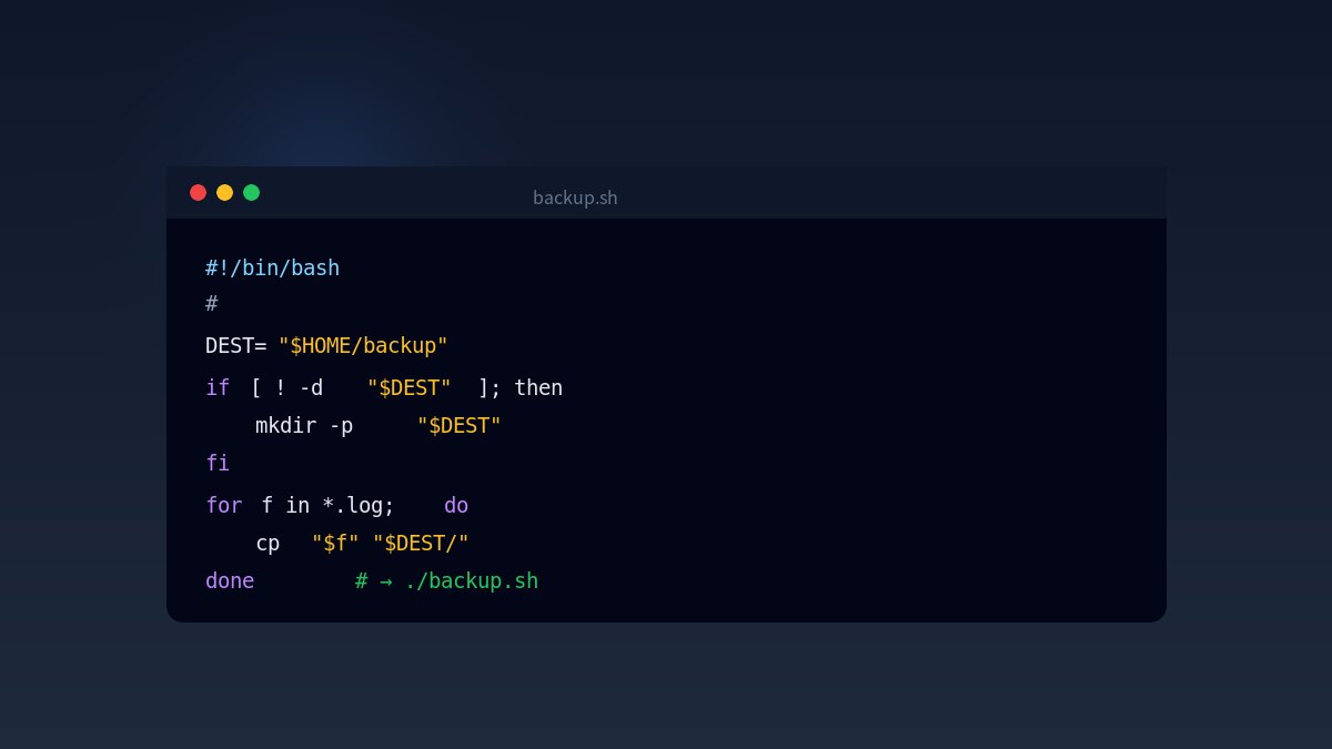 backup.sh 파일에 shebang·변수·if·for 로 명령들을 묶어둔 터미널 화면 일러스트 — 셸 스크립트 작성을 상징